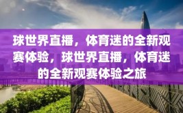 球世界直播，体育迷的全新观赛体验，球世界直播，体育迷的全新观赛体验之旅