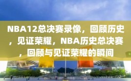 NBA12总决赛录像，回顾历史，见证荣耀，NBA历史总决赛，回顾与见证荣耀的瞬间