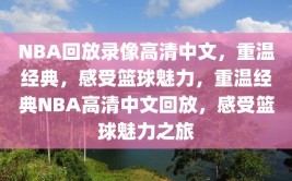 NBA回放录像高清中文，重温经典，感受篮球魅力，重温经典NBA高清中文回放，感受篮球魅力之旅