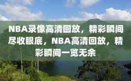 NBA录像高清回放，精彩瞬间尽收眼底，NBA高清回放，精彩瞬间一览无余