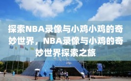 探索NBA录像与小鸡小鸡的奇妙世界，NBA录像与小鸡的奇妙世界探索之旅