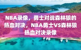 NBA录像，勇士对战森林狼的热血对决，NBA勇士VS森林狼热血对决录像