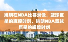 姚明在NBA比赛录像，篮球巨星的辉煌时刻，姚明NBA篮球巨星的辉煌时刻