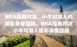 NBA经典对决，小牛对湖人的精彩录像回顾，NBA经典对决，小牛与湖人精彩录像回顾