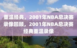 重温经典，2001年NBA总决赛录像回顾，2001年NBA总决赛经典重温录像