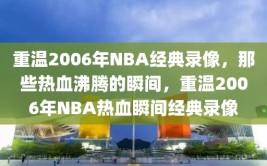 重温2006年NBA经典录像，那些热血沸腾的瞬间，重温2006年NBA热血瞬间经典录像