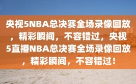 央视5NBA总决赛全场录像回放，精彩瞬间，不容错过，央视5直播NBA总决赛全场录像回放，精彩瞬间，不容错过！