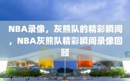 NBA录像，灰熊队的精彩瞬间，NBA灰熊队精彩瞬间录像回顾