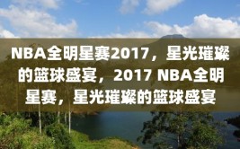 NBA全明星赛2017，星光璀璨的篮球盛宴，2017 NBA全明星赛，星光璀璨的篮球盛宴