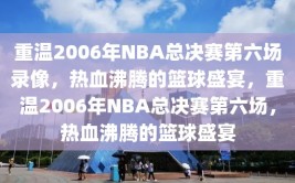 重温2006年NBA总决赛第六场录像，热血沸腾的篮球盛宴，重温2006年NBA总决赛第六场，热血沸腾的篮球盛宴