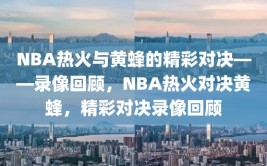 NBA热火与黄蜂的精彩对决——录像回顾，NBA热火对决黄蜂，精彩对决录像回顾