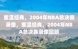 重温经典，2004年NBA总决赛录像，重温经典，2004年NBA总决赛录像回顾