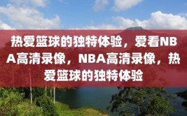 热爱篮球的独特体验，爱看NBA高清录像，NBA高清录像，热爱篮球的独特体验