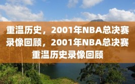 重温历史，2001年NBA总决赛录像回顾，2001年NBA总决赛重温历史录像回顾