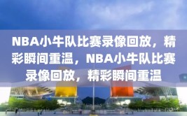 NBA小牛队比赛录像回放，精彩瞬间重温，NBA小牛队比赛录像回放，精彩瞬间重温