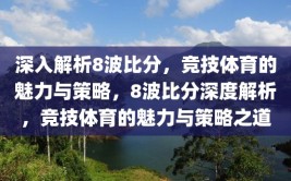 深入解析8波比分，竞技体育的魅力与策略，8波比分深度解析，竞技体育的魅力与策略之道