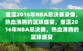 重温2016年NBA总决赛录像，热血沸腾的篮球盛宴，重温2016年NBA总决赛，热血沸腾的篮球盛宴