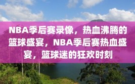 NBA季后赛录像，热血沸腾的篮球盛宴，NBA季后赛热血盛宴，篮球迷的狂欢时刻