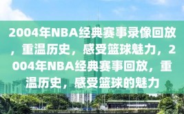 2004年NBA经典赛事录像回放，重温历史，感受篮球魅力，2004年NBA经典赛事回放，重温历史，感受篮球的魅力