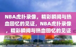 NBA虎扑录像，精彩瞬间与热血回忆的见证，NBA虎扑录像，精彩瞬间与热血回忆的见证