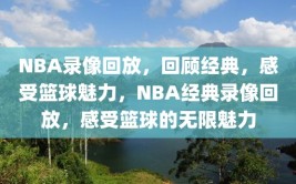 NBA录像回放，回顾经典，感受篮球魅力，NBA经典录像回放，感受篮球的无限魅力