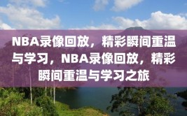 NBA录像回放，精彩瞬间重温与学习，NBA录像回放，精彩瞬间重温与学习之旅