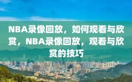 NBA录像回放，如何观看与欣赏，NBA录像回放，观看与欣赏的技巧