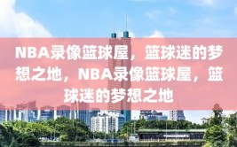 NBA录像篮球屋，篮球迷的梦想之地，NBA录像篮球屋，篮球迷的梦想之地