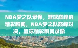 NBA梦之队录像，篮球巅峰的精彩瞬间，NBA梦之队巅峰对决，篮球精彩瞬间录像