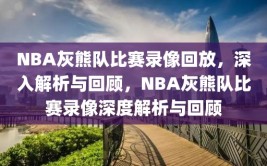 NBA灰熊队比赛录像回放，深入解析与回顾，NBA灰熊队比赛录像深度解析与回顾