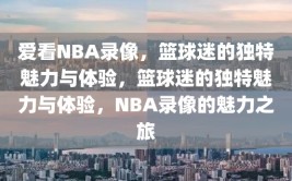 爱看NBA录像，篮球迷的独特魅力与体验，篮球迷的独特魅力与体验，NBA录像的魅力之旅