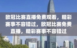 欧冠比赛直播免费观看，精彩赛事不容错过，欧冠比赛免费直播，精彩赛事不容错过