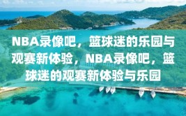 NBA录像吧，篮球迷的乐园与观赛新体验，NBA录像吧，篮球迷的观赛新体验与乐园