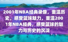 2001年NBA经典录像，重温历史，感受篮球魅力，重温2001年NBA经典，感受篮球的魅力与历史的沉淀