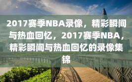 2017赛季NBA录像，精彩瞬间与热血回忆，2017赛季NBA，精彩瞬间与热血回忆的录像集锦