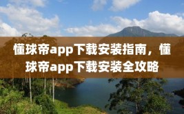 懂球帝app下载安装指南，懂球帝app下载安装全攻略