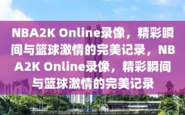 NBA2K Online录像，精彩瞬间与篮球激情的完美记录，NBA2K Online录像，精彩瞬间与篮球激情的完美记录