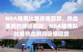 NBA雄鹿比赛录像回放，热血沸腾的球场瞬间，NBA雄鹿队比赛热血瞬间录像回放