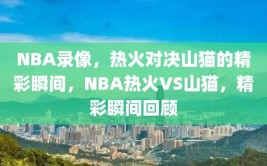 NBA录像，热火对决山猫的精彩瞬间，NBA热火VS山猫，精彩瞬间回顾