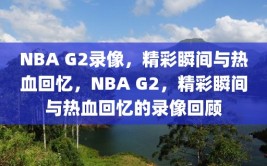 NBA G2录像，精彩瞬间与热血回忆，NBA G2，精彩瞬间与热血回忆的录像回顾