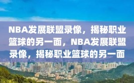 NBA发展联盟录像，揭秘职业篮球的另一面，NBA发展联盟录像，揭秘职业篮球的另一面