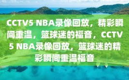 CCTV5 NBA录像回放，精彩瞬间重温，篮球迷的福音，CCTV5 NBA录像回放，篮球迷的精彩瞬间重温福音