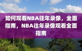 如何观看NBA往年录像，全面指南，NBA往年录像观看全面指南