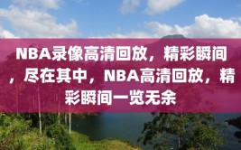 NBA录像高清回放，精彩瞬间，尽在其中，NBA高清回放，精彩瞬间一览无余