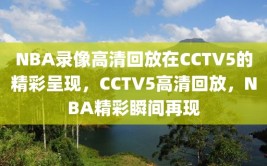 NBA录像高清回放在CCTV5的精彩呈现，CCTV5高清回放，NBA精彩瞬间再现