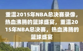 重温2015年NBA总决赛录像，热血沸腾的篮球盛宴，重温2015年NBA总决赛，热血沸腾的篮球盛宴