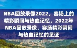 NBA回放录像2022，赛场上的精彩瞬间与热血记忆，2022年NBA回放录像，赛场精彩瞬间与热血记忆的见证