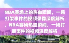 NBA赛场上的热血瞬间，一场打架事件的视频录像深度解析，NBA赛场热血瞬间，一场打架事件的视频深度解析